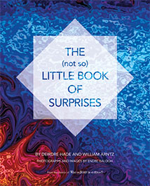 THE (not so) LITTLE BOOK OF SURPRISES