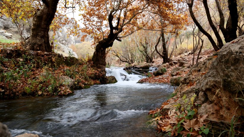 flowing creek