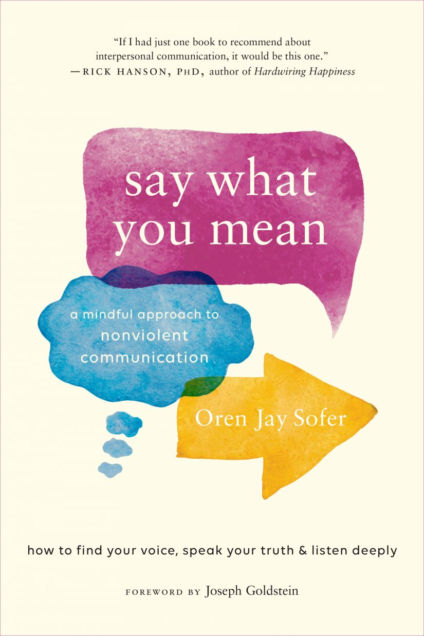 say what you mean by Oren Jay Sofer