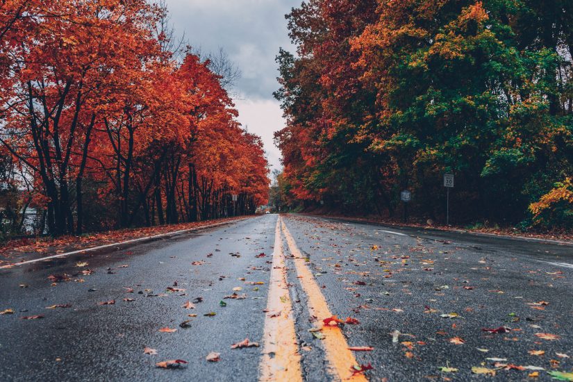 road with autumn leaves