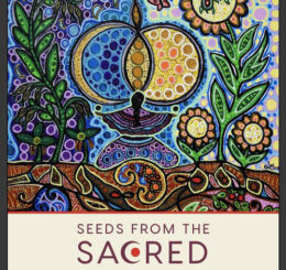 Seeds from the Sacred Feminine: A 52-Card Wisdom Deck with Handbook